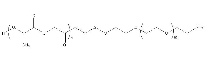PLGA-SS-PEG-NH2