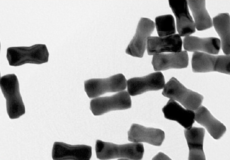 Gold nanobones 10ml,concentration:0.05mg/ml