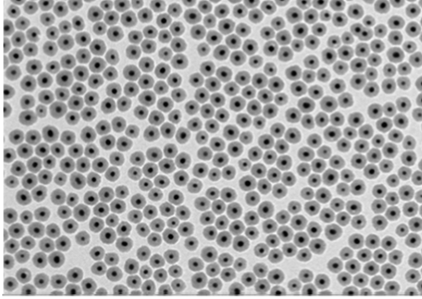(Gold/silica core-shell nanoparticles)10ml
