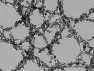CNT-CdSe nanocomposites)10ml,concentration:0.05mg/ml