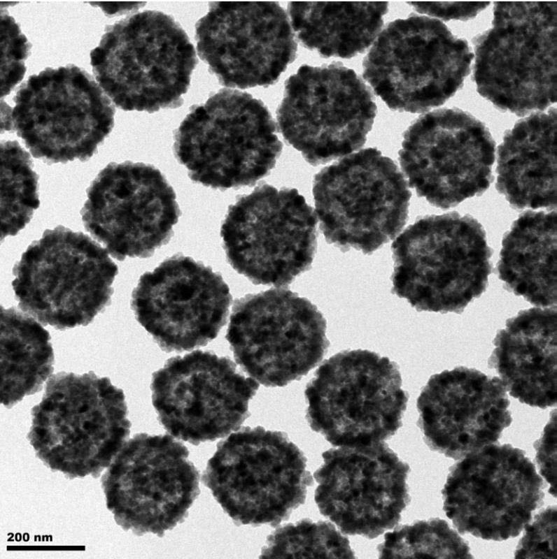 Mesoporous Fe3O4 nanospheres (Particle size:100nm-400nm)