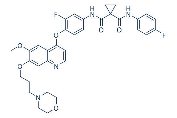 Foretinib(XL880) CAS:849217-64-7