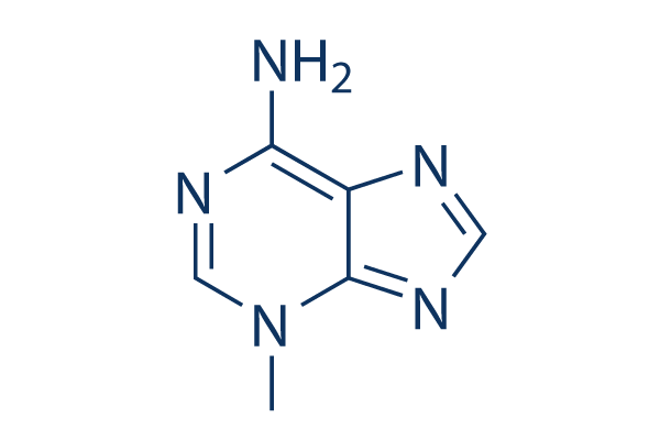 3-Methyladenine (3-MA) cas:5142-23-4