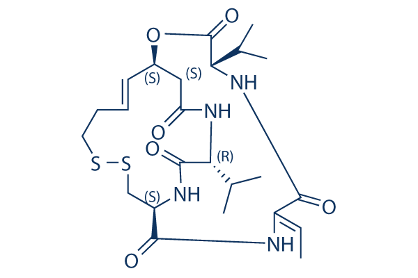 Romidepsin (FK228, Depsipeptide) cas:128517-07-7