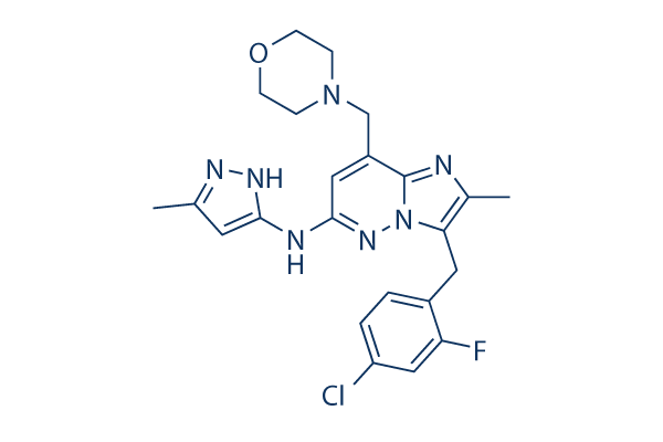 Gandotinib (LY2784544) CAS:1229236-86-5