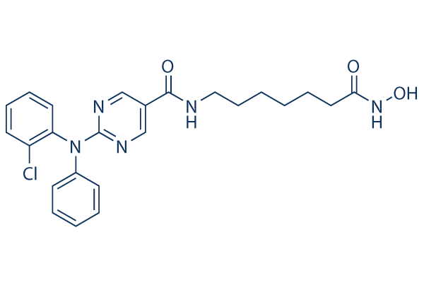 Citarinostat (ACY-241) CAS:1316215-12-9