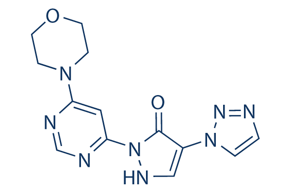 Molidustat(BAY85-3934) CAS:1154028-82-6
