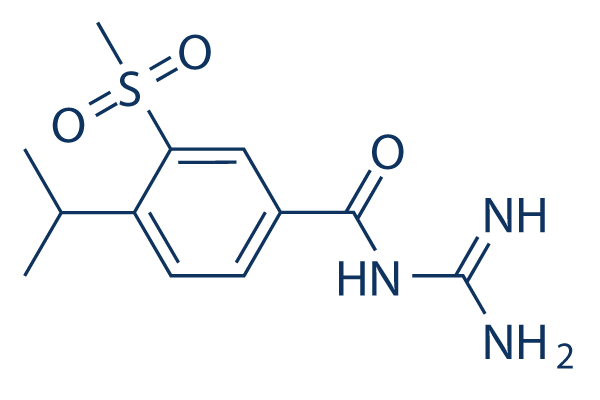 Cariporide CAS:159138-80-4