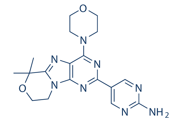 Paxalisib (GDC-0084) CAS:1382979-44-3