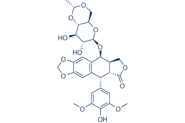 Etoposide CAS:33419-42-0