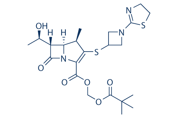 Tebipenem pivoxil CAS:161715-24-8