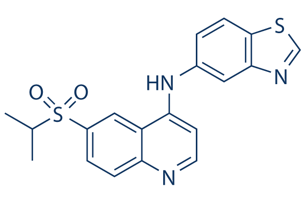 GSK872 CAS:1346546-69-7