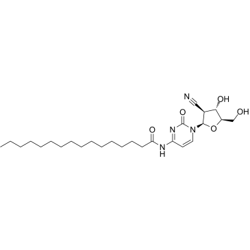 Sapacitabine CAS:151823-14-2