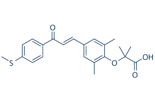 Elafibranor(GFT505) CAS:923978-27-2
