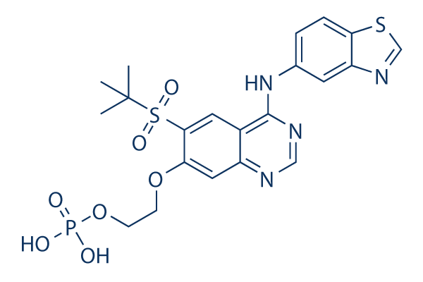 GSK2983559 FREE ACID CAS:1579965-12-0
