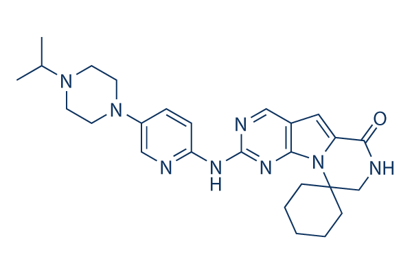 G1T38 CAS:1628256-23-4
