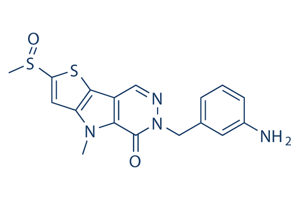 TEPP-46 (ML265) CAS:1221186-53-3