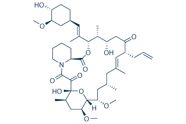 Tacrolimus (FK506) CAS:104987-11-3