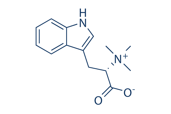 Hypaphorine CAS:487-58-1