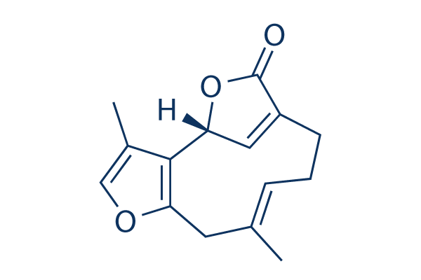 Linderalactone CAS:728-61-0