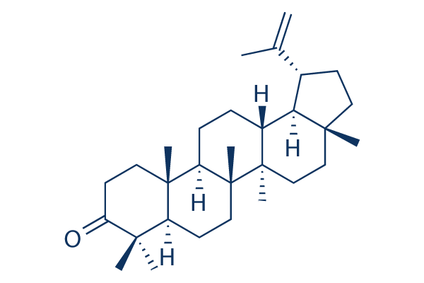 Lupenone CAS:1617-70-5