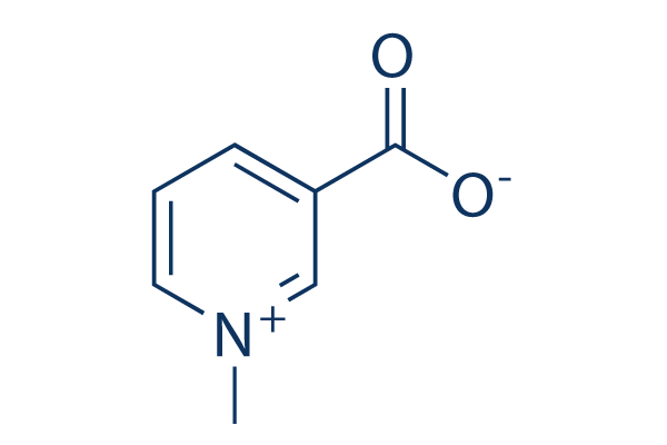 Trigonelline CAS: 535-83-1