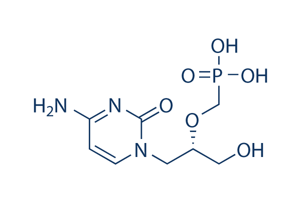 Cidofovir CAS: 113852-37-2