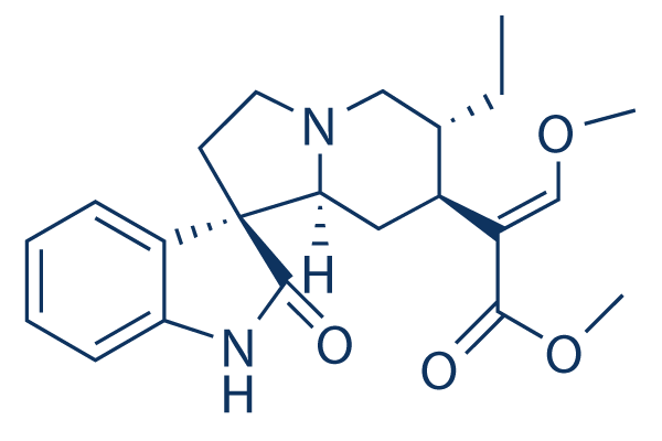 Rhynchophylline CAS:76-66-4