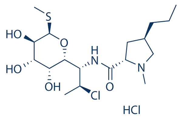 Clindamycin HCl CAS: 21462-39-5