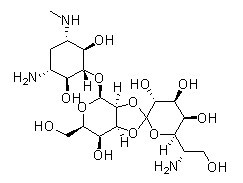 Hygromycin B CAS:31282-04-9