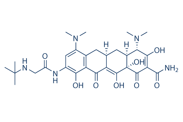 Tigecycline (GAR-936) CAS:220620-09-7