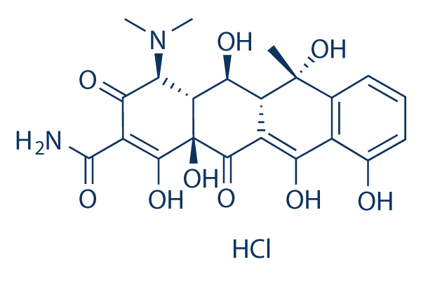 Oxytetracycline hydrochloride CAS:2058-46-0