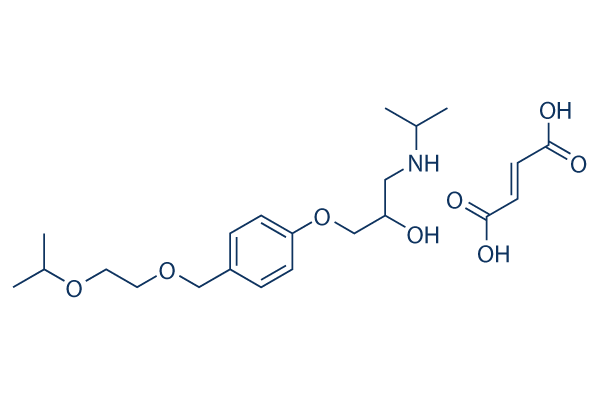Bisoprolol fumarate CAS:104344-23-2