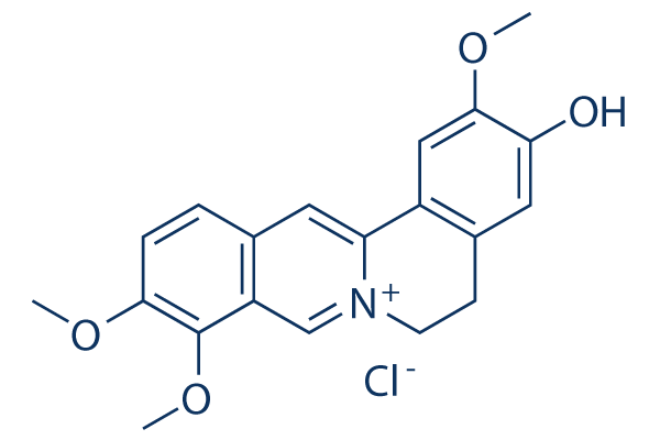 Jatrorrhizine chloride CAS:6681-15-8