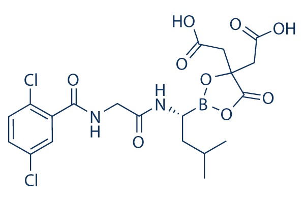 Ixazomib citrate (MLN9708) CAS:1239908-20-3