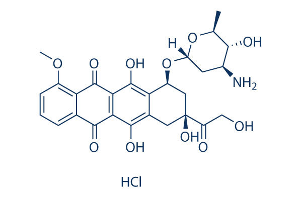 Epirubicin hydrochloride CAS:56390-09-1