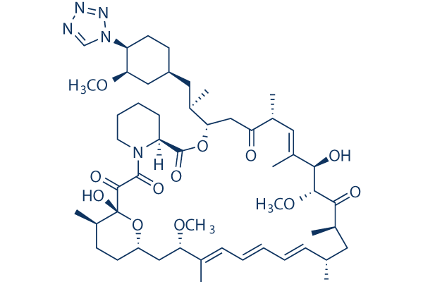 Zotarolimus CAS:221877-54-9