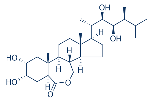 Brassinolide CAS:72962-43-7