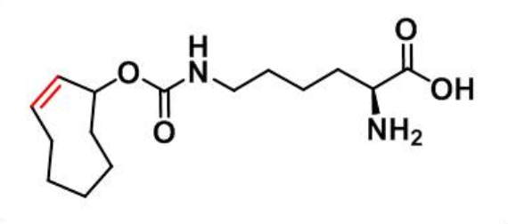 N-(2E)-TCO-L-lysine,cas:1580501-94-5
