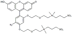 CalFluor 488 Azide,Cas:1798305-98-2