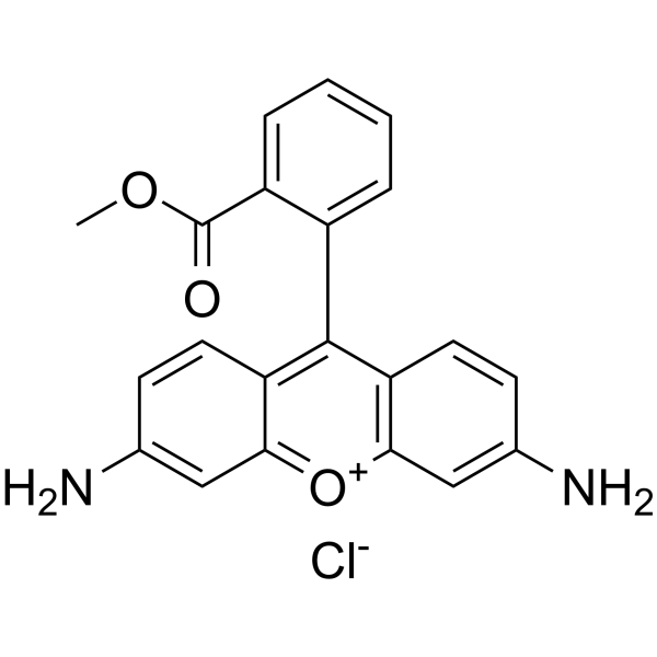 Rhodamine 123,CAS:62669-70-9