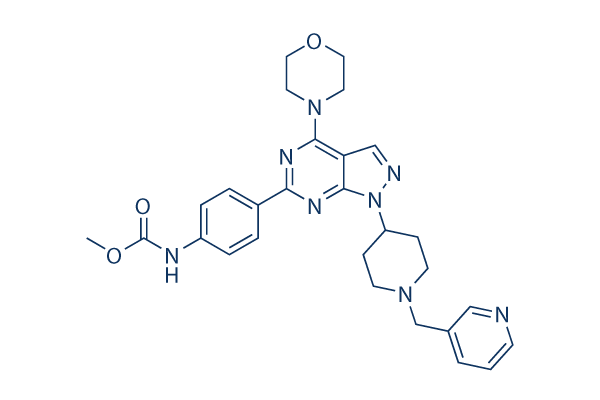 WYE-687 CAS: 1062161-90-3