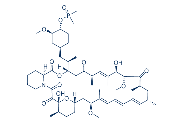 Ridaforolimus (Deforolimus, MK-8669) CAS:572924-54-0