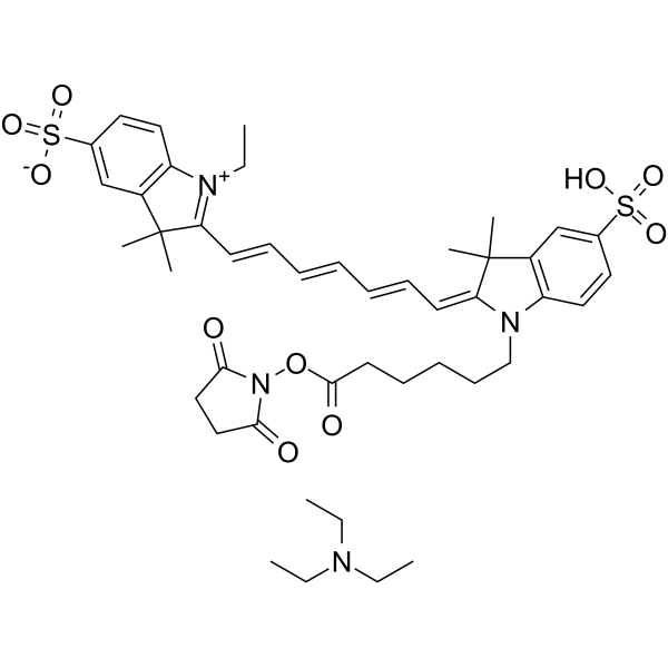 CY7-SE triethylamine