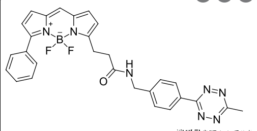 BDP R6G tetrazine
