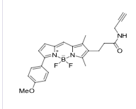 BDP-TMR-Alkyne