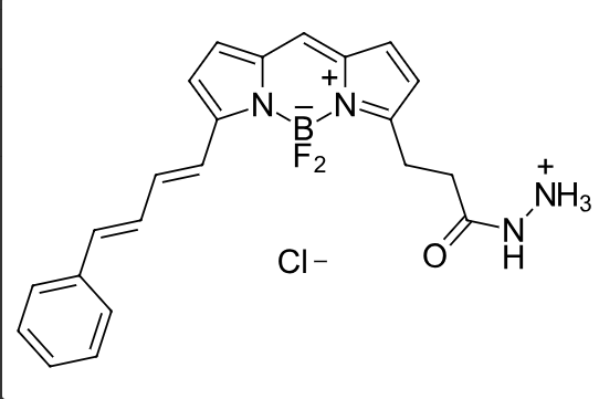 BDP-581/591-hydrazide
