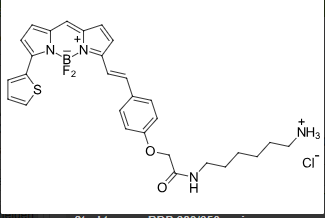 BDP-630/650-amine
