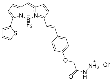 BDP-630/650-hydrazide