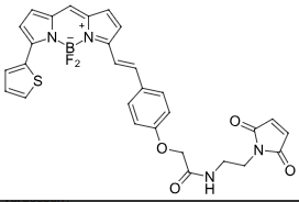BDP-630/650-maleimide